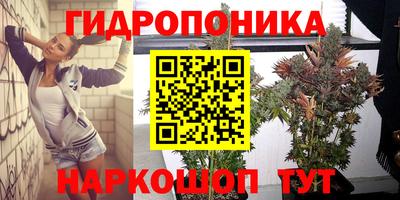 ешки Вышний Волочёк