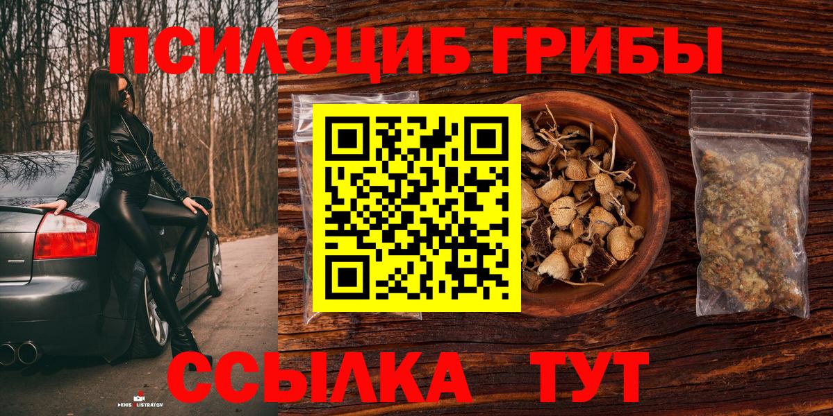 Галлюциногенные грибы Psilocybine cubensis  Вход с VPN  Сегежа 