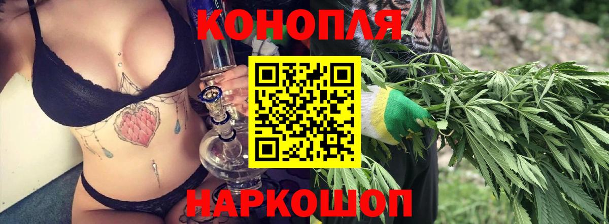 Сегежа  Бошки Шишки марихуана  Вход с VPN  Каннабис сатива 